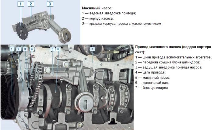 maslyaniy-nasos-renault-logan-1.6